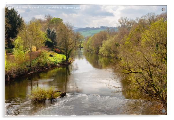 Beautiful River Usk Brecon Beacons National Park Acrylic by Pearl Bucknall