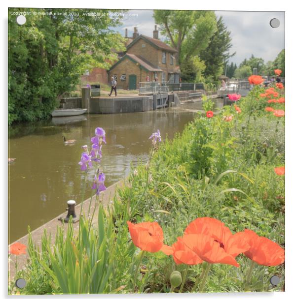 Colourful Boulters Lock on River Thames Berkshire Acrylic by Pearl Bucknall