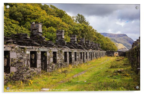 Dinorwic or Dinorwig Quarry Anglesey Barracks Acrylic by Pearl Bucknall