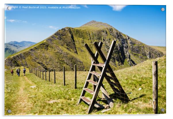 The Path to Elidir Fawr Acrylic by Pearl Bucknall