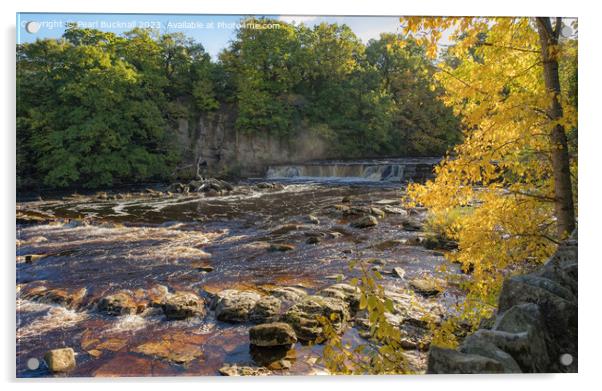 Richmond Falls North Yorkshire Acrylic by Pearl Bucknall