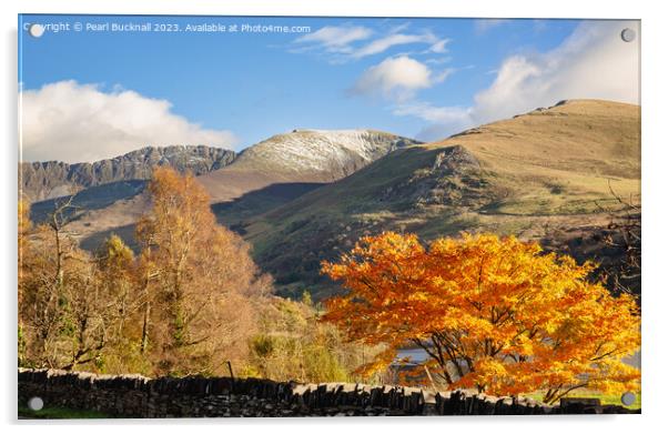 Snowdonia Mountains in Autumn Acrylic by Pearl Bucknall