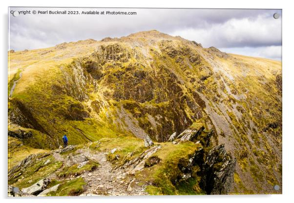 Cadair Idris Snowdonia Acrylic by Pearl Bucknall