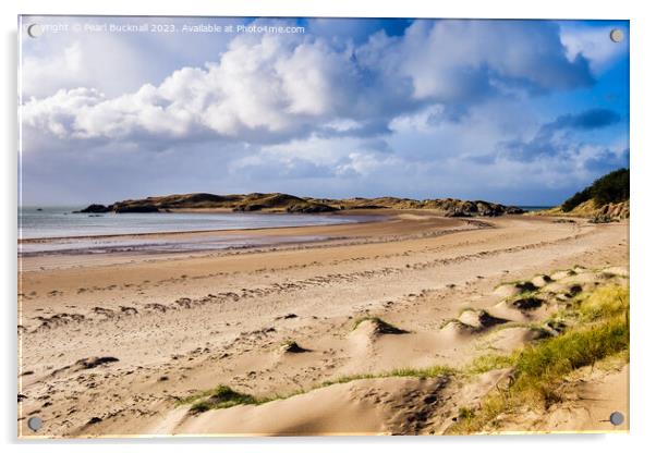 Newborough Beach and Llanddwyn Island Anglesey Acrylic by Pearl Bucknall
