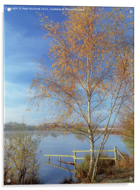 Tranquil Berkshire Countryside Lake Acrylic by Pearl Bucknall