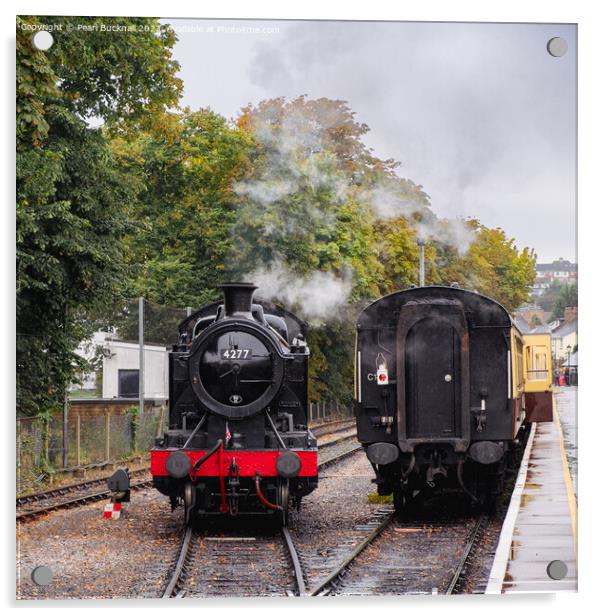 Paignton and Dartmouth Steam Railway Trains Acrylic by Pearl Bucknall