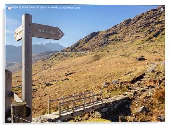 The Way to Pen-y-Pass in Snowdonia Acrylic by Pearl Bucknall