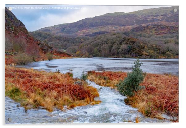 Llyn Dinas Lake Snowdonia in Autumn Acrylic by Pearl Bucknall