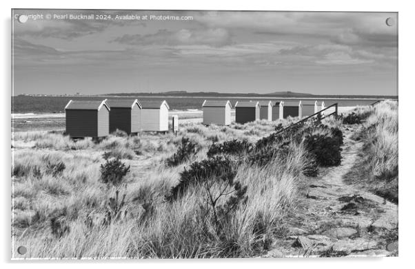 Findhorn Beach Huts Scotland black and white Acrylic by Pearl Bucknall