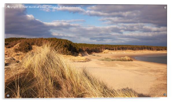 Llanddwyn Island Newborough Beach Anglesey Acrylic by Pearl Bucknall