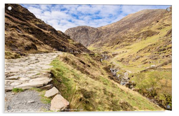 Walking the Watkin Path to Snowdon Acrylic by Pearl Bucknall