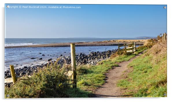 Wales Coastal Path Llyn Peninsula Coast Acrylic by Pearl Bucknall