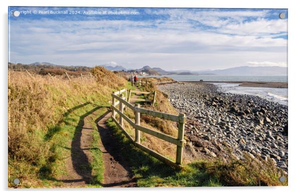 Wales Coastal Path Llyn Peninsula Welsh Coast Acrylic by Pearl Bucknall