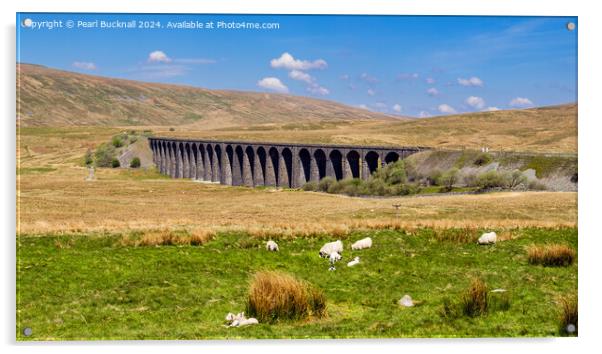 Sheep by Ribblehead Viaduct Yorkshire Dales Acrylic by Pearl Bucknall