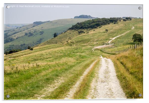 South Downs Way to Devils Dyke West Sussex Acrylic by Pearl Bucknall