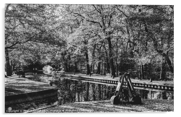 Basingstoke Canal in Surrey monochrome Acrylic by Pearl Bucknall