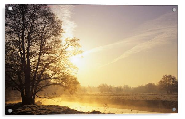 River Wey Misty Morning at Thundry Meadows Acrylic by Pearl Bucknall