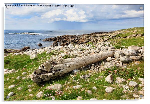 Driftwood on North Uist Coast Acrylic by Pearl Bucknall