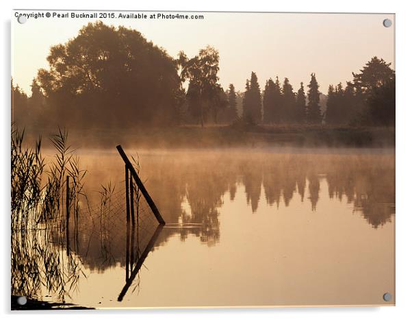 Frensham Little Pond at Sunrise Acrylic by Pearl Bucknall