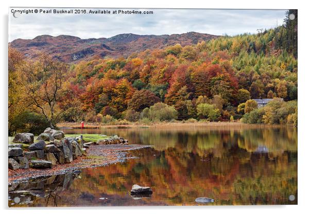  Llyn Geirionydd Lake in Autumn Acrylic by Pearl Bucknall