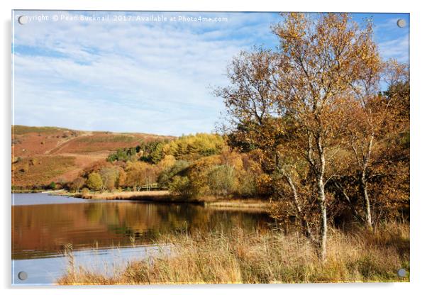 Llyn Geirionydd lake in Autumn Acrylic by Pearl Bucknall