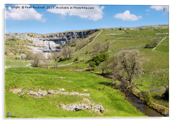 Malham Cove and Malham Beck Yorkshire Dales Acrylic by Pearl Bucknall