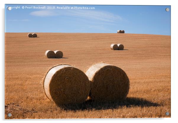 Farming Harvest in the Countryside Acrylic by Pearl Bucknall