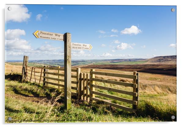 Pennine Way to Black Hill Yorkshire Acrylic by Pearl Bucknall