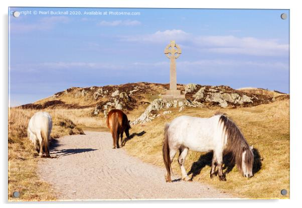 Welsh Mountain Ponies on Ynys Llanddwyn Anglesey Acrylic by Pearl Bucknall