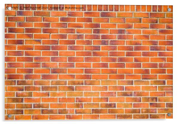 Brick Wall Acrylic by Pearl Bucknall