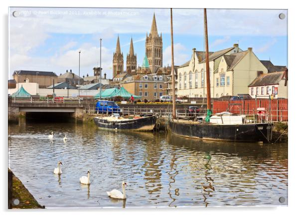 Swans and Cathedral Spires in Truro Acrylic by Pearl Bucknall