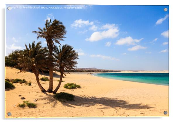 Praia de Chaves Beach Cape Verde Acrylic by Pearl Bucknall