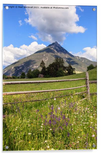 Summer Meadow and a Mountain Acrylic by Pearl Bucknall