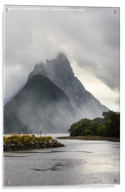 Moody Milford Sound New Zealand Acrylic by Pearl Bucknall