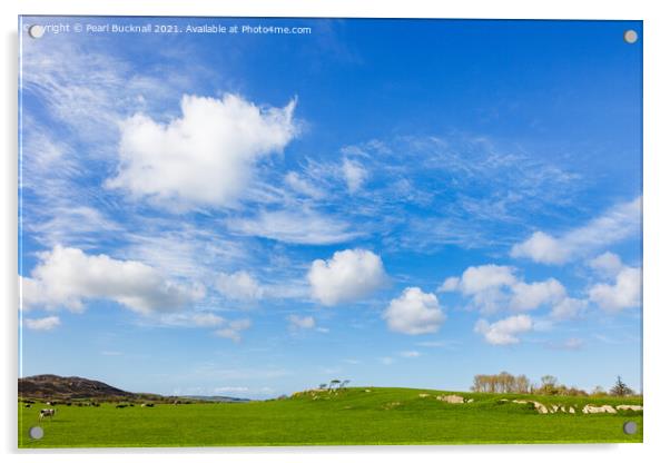 Big Blue sky over summer countryside Acrylic by Pearl Bucknall
