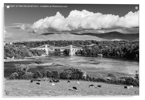 Scenic Menai Strait Anglesey in Black and White Acrylic by Pearl Bucknall