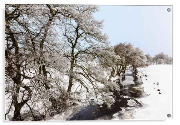 Peak District Country Snow Scene Acrylic by Pearl Bucknall