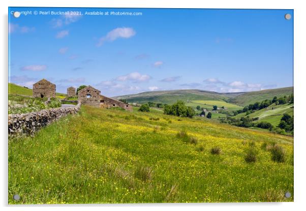 Barns and Meadow in Yorkshire Dales Countryside Acrylic by Pearl Bucknall