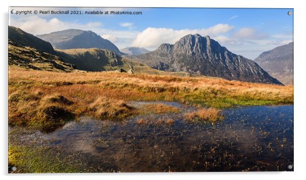 Snowdonia Uplands and Tryfan Wales Acrylic by Pearl Bucknall