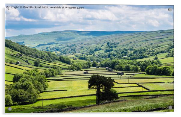 Barns and Walls in Upper Swaledale Yorkshire Dales Acrylic by Pearl Bucknall