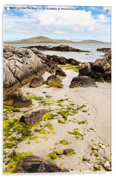 South Uist Rocky Coast Acrylic by Pearl Bucknall