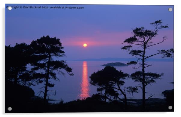 Scots Pines at Sunset on Scottish West Coast Acrylic by Pearl Bucknall