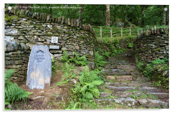 Watkin Path Steps to Snowdon Acrylic by Pearl Bucknall