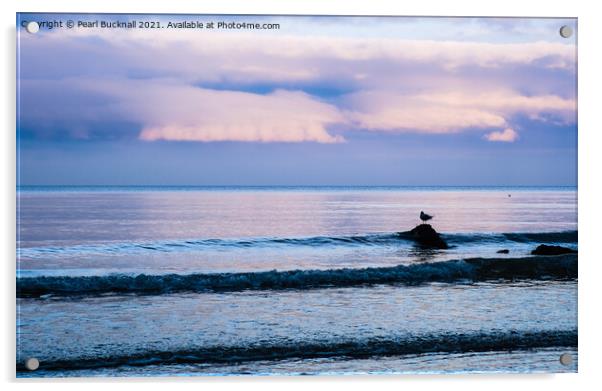 Gull on a Rock in Sea at Dusk Acrylic by Pearl Bucknall