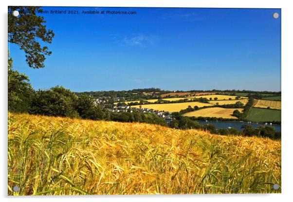 Cornish landscape Acrylic by Kevin Britland