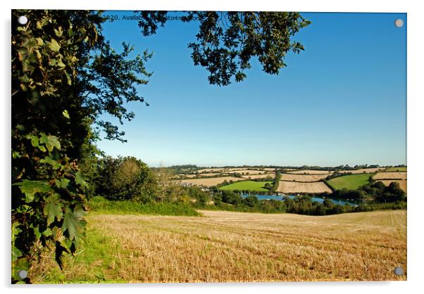 cornish countryside Acrylic by Kevin Britland