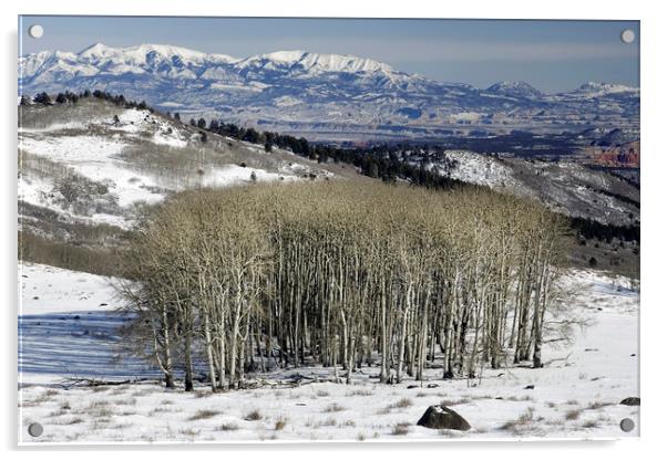 Utah Landscape in Winter Acrylic by Luc Novovitch