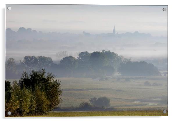 Early Morning Fog Acrylic by Luc Novovitch