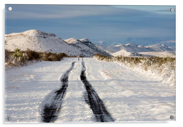 Snow in Texas Acrylic by Luc Novovitch