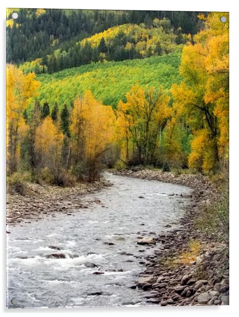 Colorado San Juan River in Autumn Acrylic by Luc Novovitch